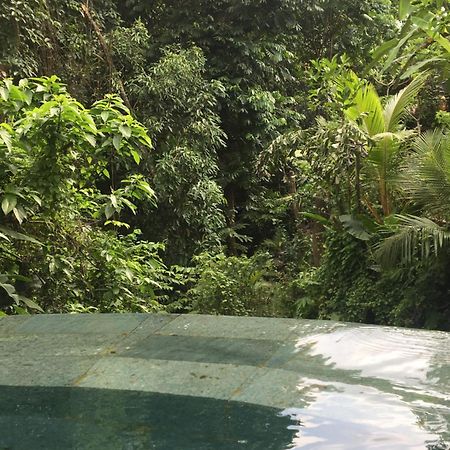 Raka Rai Bungalows Ubud Kültér fotó