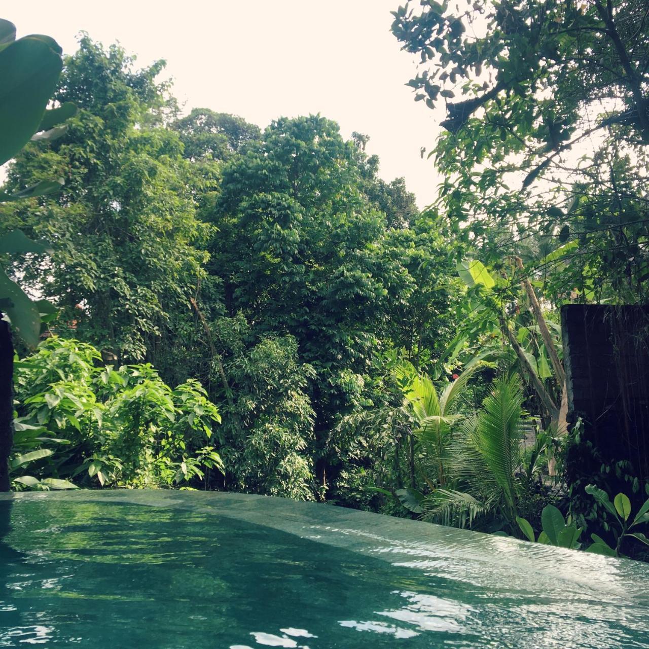 Raka Rai Bungalows Ubud Kültér fotó